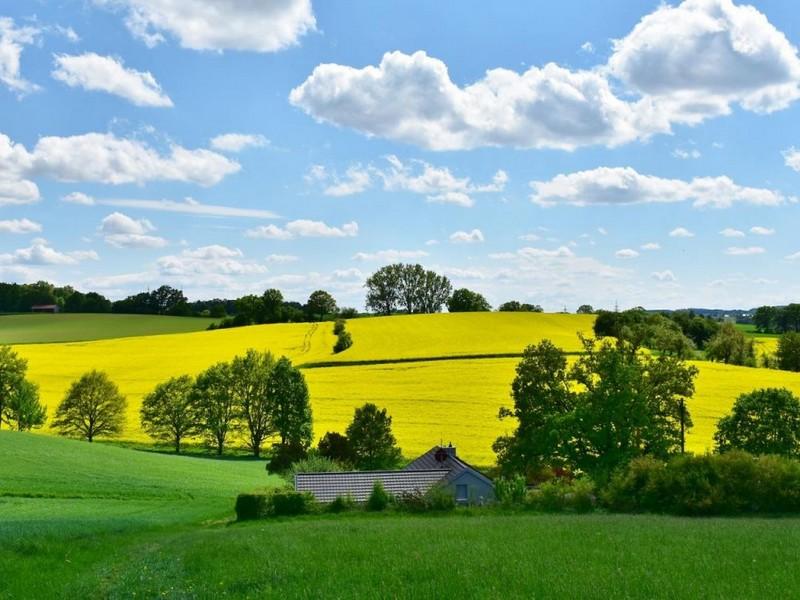 La FAO met en garde contre le risque de pénurie alimentaire faute de biodiversité 