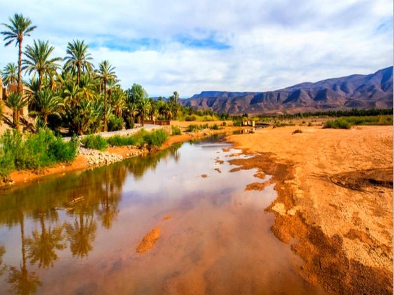 Les oasis à l'épreuve du réchauffement climatique