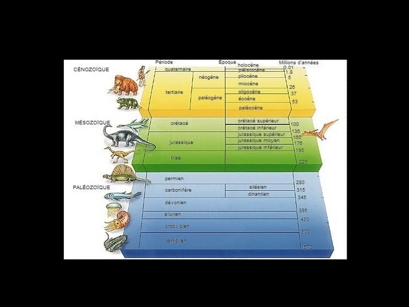 Évolution Géologique