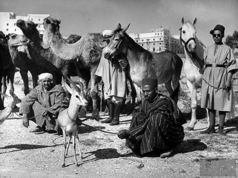 30 photos du Maroc d'antan qu'il faut voir au moins une seule fois dans sa vie