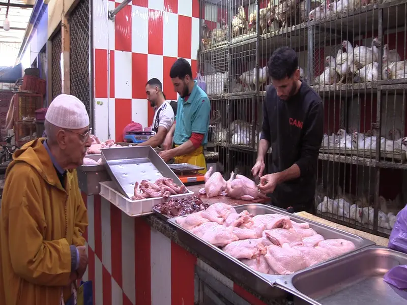 Nouvelle hausse des prix du poulet, consommateurs et commerçants s’inquiètent