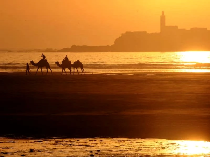 Le Maroc va frôler les 50 degrés