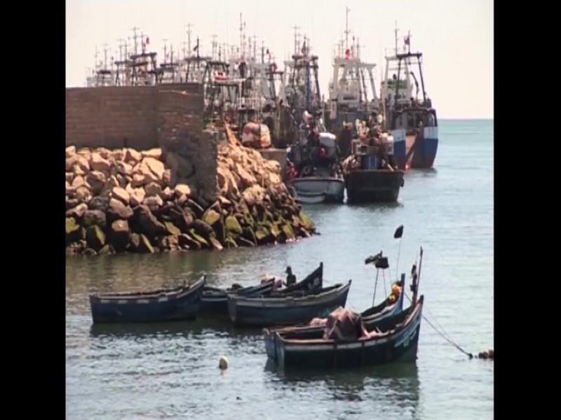 L’expérience touristique à la découverte de la région Guélmim Oued-Noun