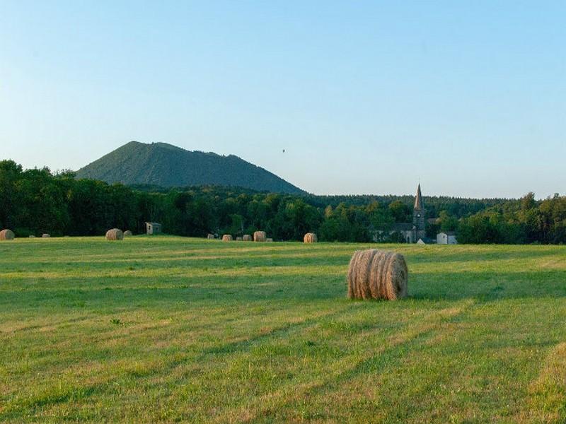 Rapport du Giec : L’agriculture est à la fois un fardeau et un rempart pour le changement climatique