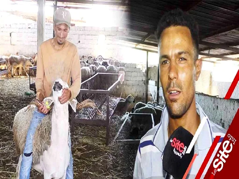 Aïd Al-Adha 2021: voici le prix du mouton cette année (VIDEO)