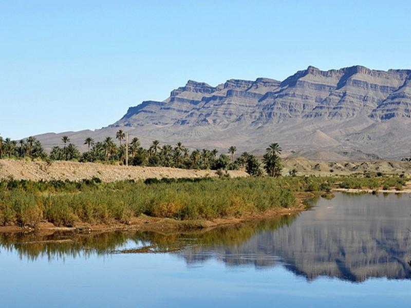 1ère Ganga de palmeraie, rencontre des peuples oasiens: Oasis : L’immigration et les changements climatiques 