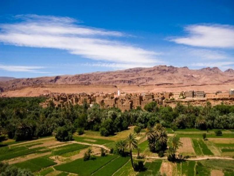 COP22: Premiers détails de l’initiative marocaine
