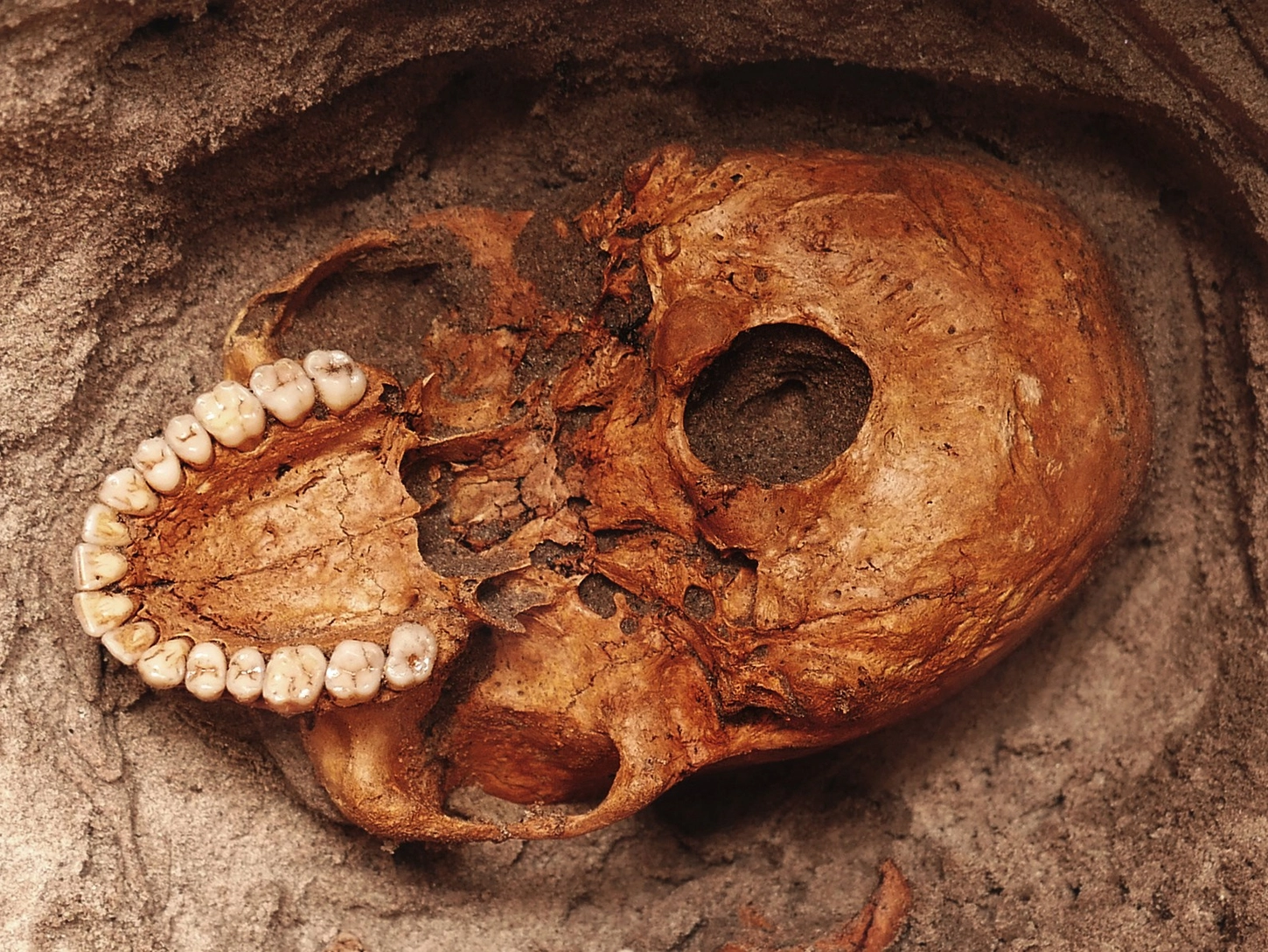 Découverte d’ossements humains vieux de 1 000 ans en Afrique de l’Est