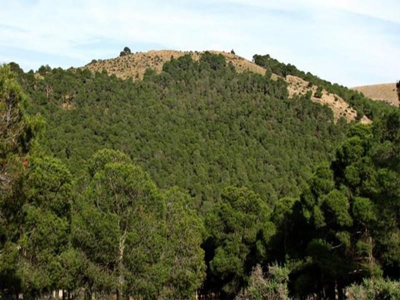 VRAI/FAUX: les Eaux et Forêts restent bien dans le périmètre de l'Agriculture