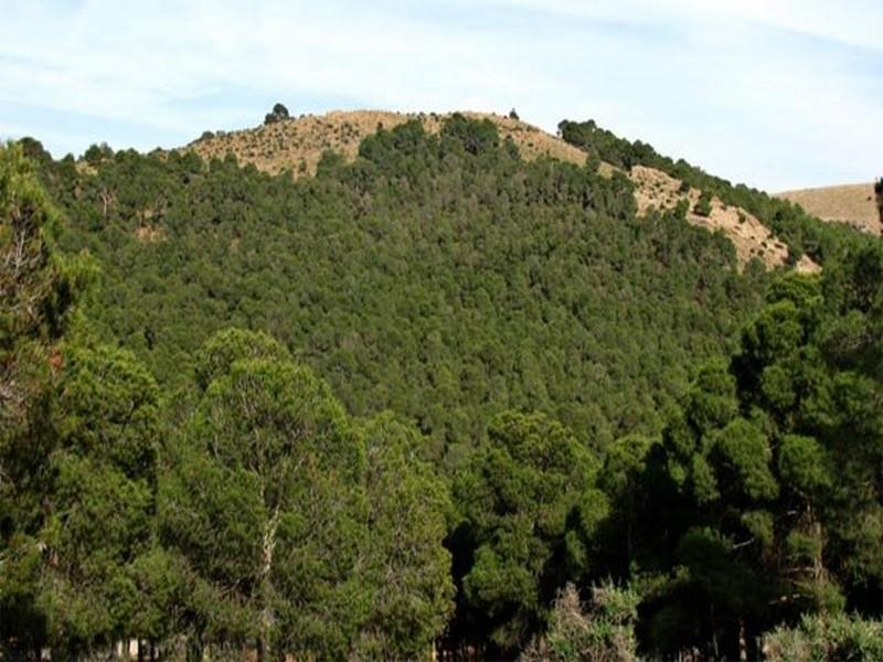 VRAI/FAUX: les Eaux et Forêts restent bien dans le périmètre de l'Agriculture	