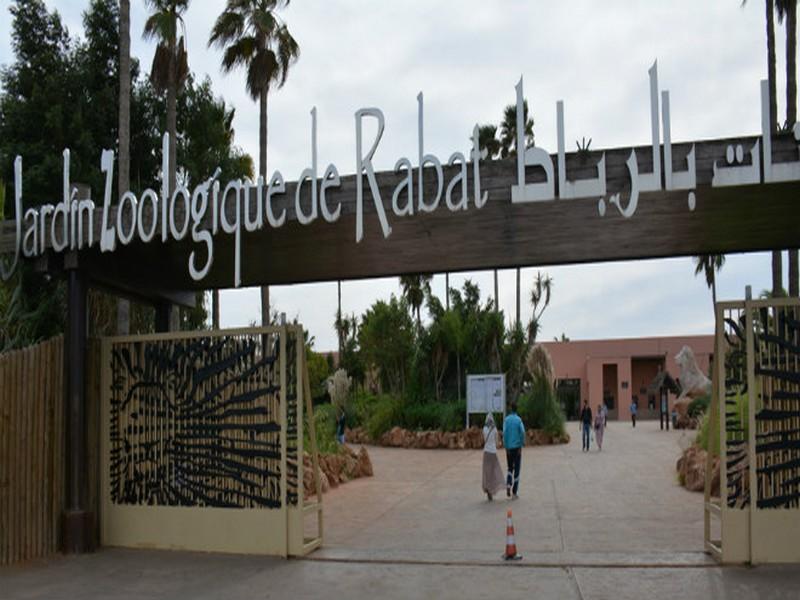 Franc succès pour le Zoo de Rabat depuis sa rénovation
