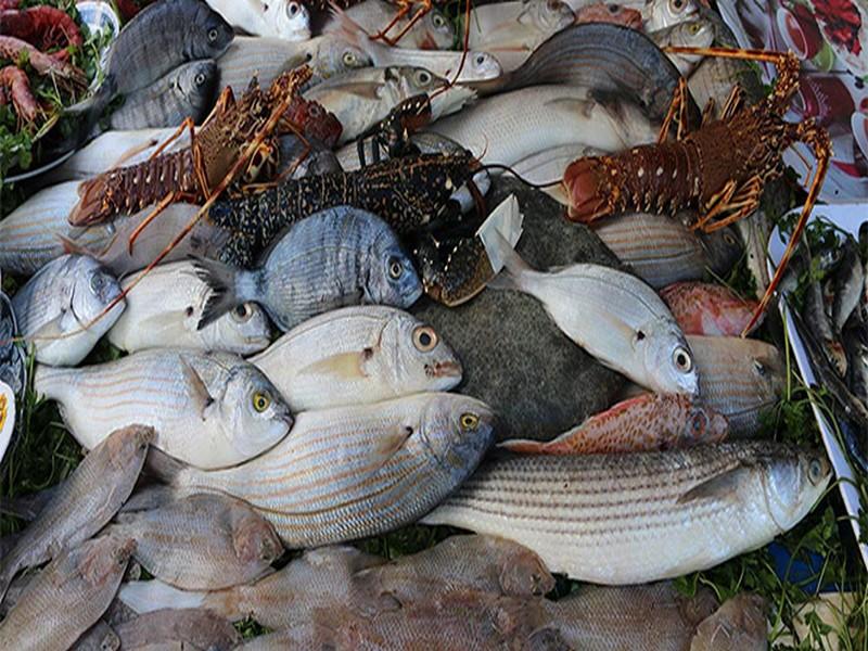 Pêche : Ces pays qui raffolent de la production marocaine