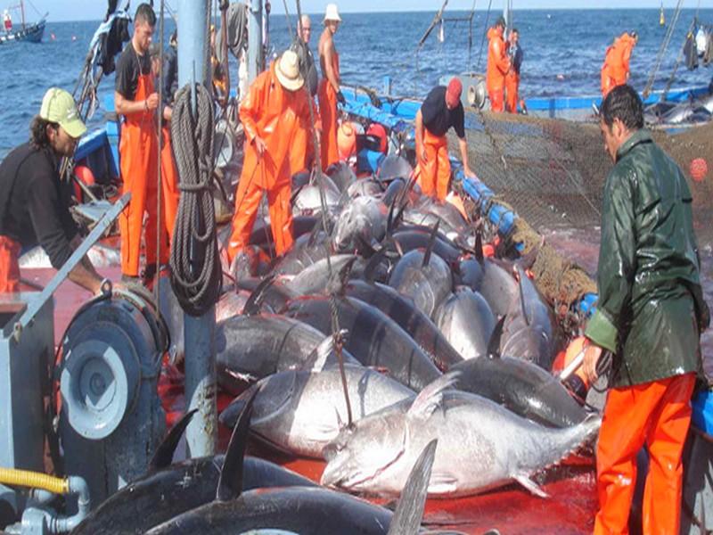 Accord de pêche : La justice européenne a tranché