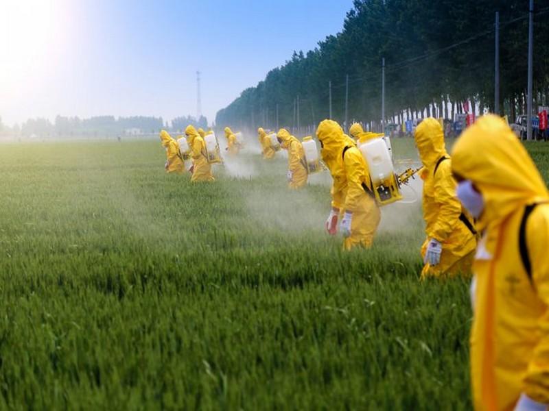 Deux experts de l’ONU réclament l’abolition de l’agriculture industrielle !