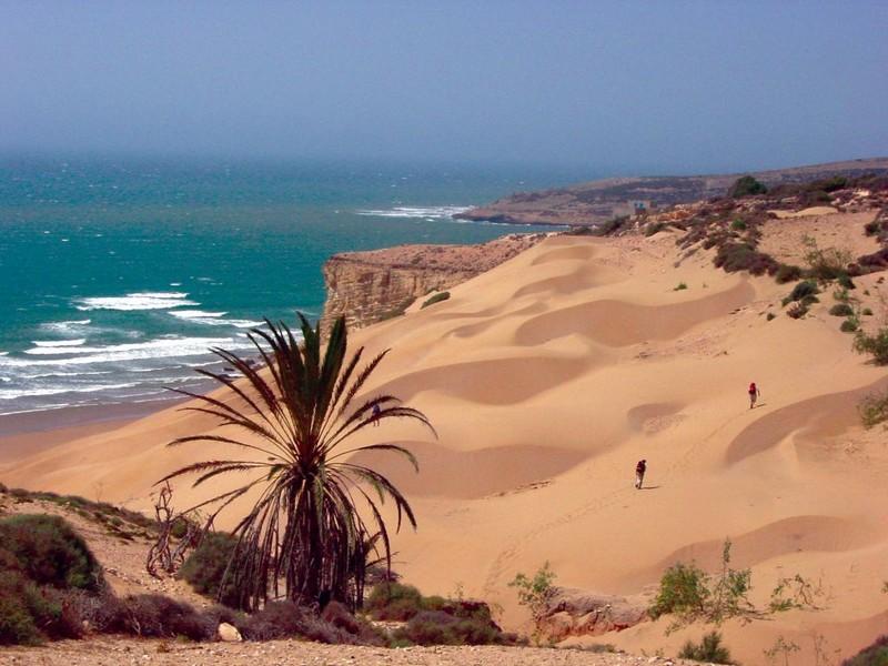 12 photos spectaculaires du Sahara marocain entre sable et vagues