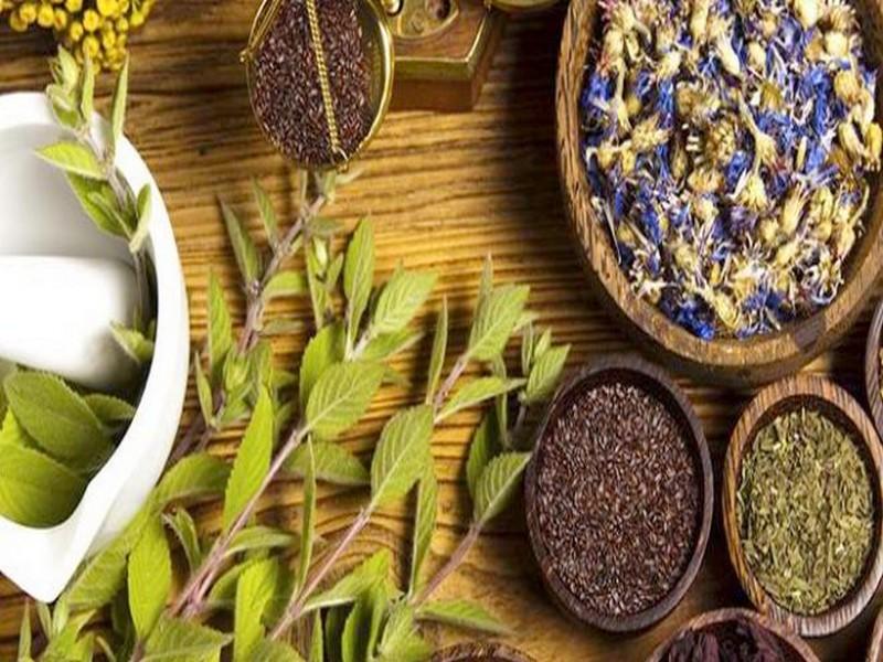 #MAROC_AGRICULTURE_PLANTES_AROMARIQUES_ET_MEDICINALES: Le Maroc, 2e producteur mondial de plantes aromatiques et médicinales