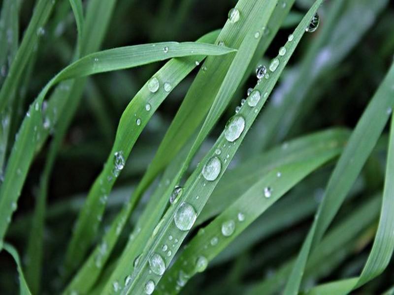 Pluies, froid et neige à partir de vendredi 10 février