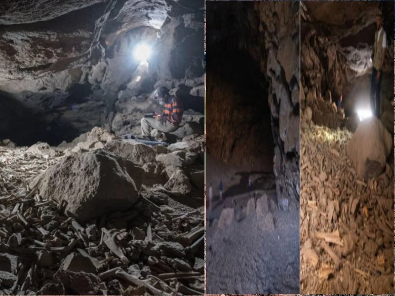 Découverte fascinante : Des humains occupaient des grottes volcaniques en Arabie saoudite depuis des millénaires