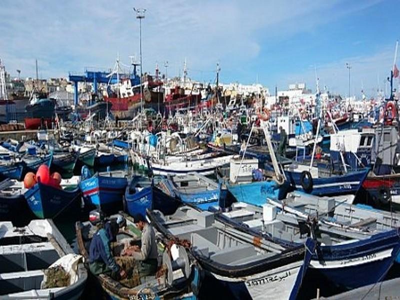 Pêche côtière et artisanale: le secteur accuse le coup au mois de janvier