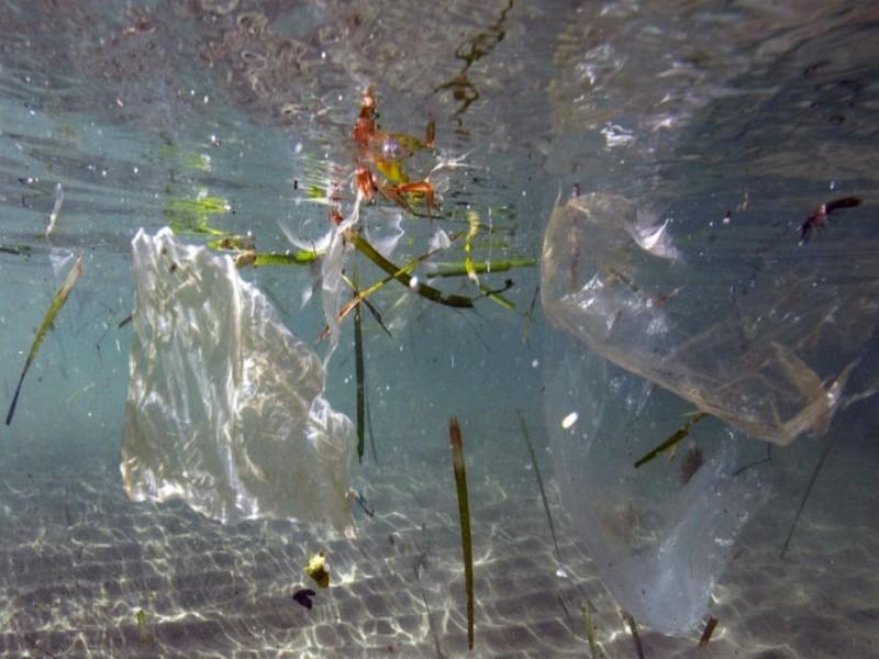 La France, plus gros producteur de déchets plastique en Méditerranée