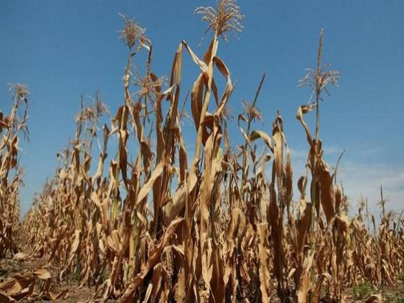 Réchauffement climatique : Quelles répercussions sur le Maroc ?