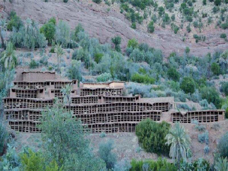 Reportage : à la découverte du rucher collectif d’Inzekri