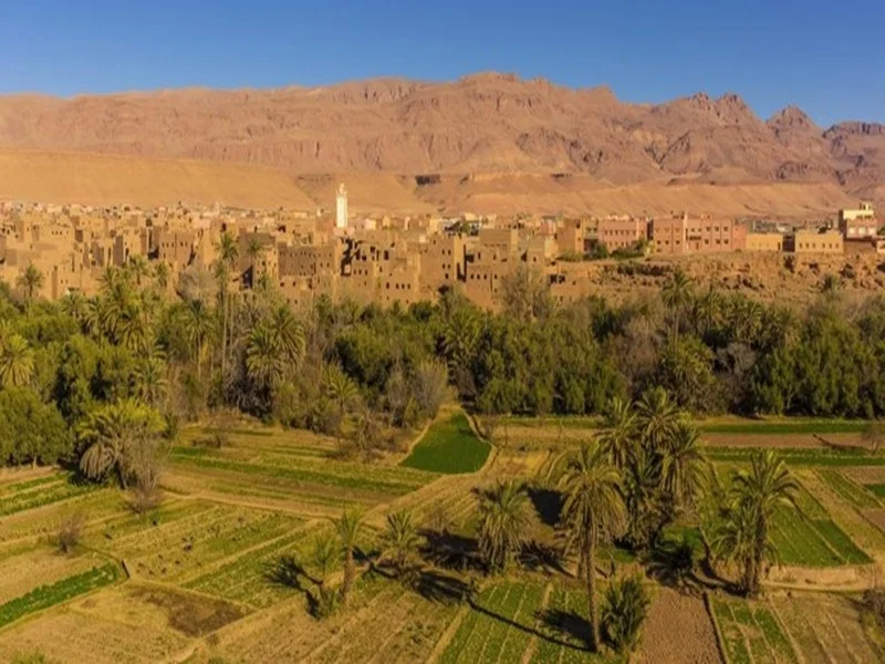 Maroc : La Loi 97-15 sur le droit de grève dénoncée à l’ONU