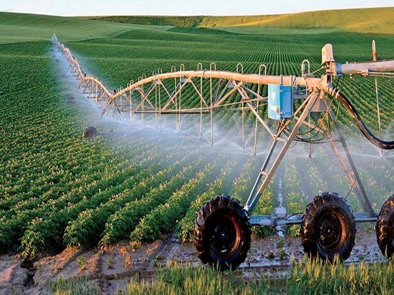 L’OCP met la lumière sur l’innovation en agriculture durable