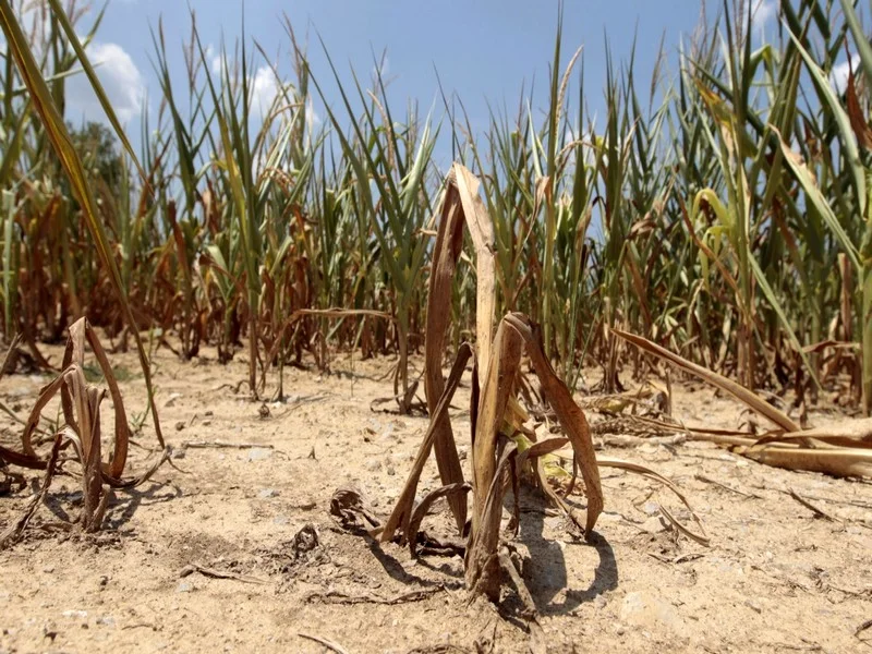 Stress hydrique: la Banque mondiale appelle à réviser la tarification de l’eau au Maroc pour éviter le pire 