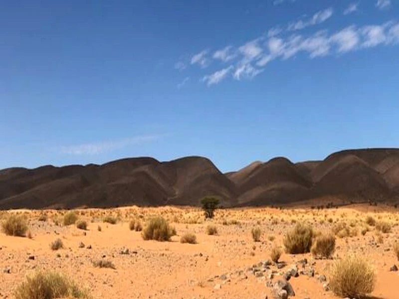 Séisme au Maroc : le secteur du tourisme dans le grand flou