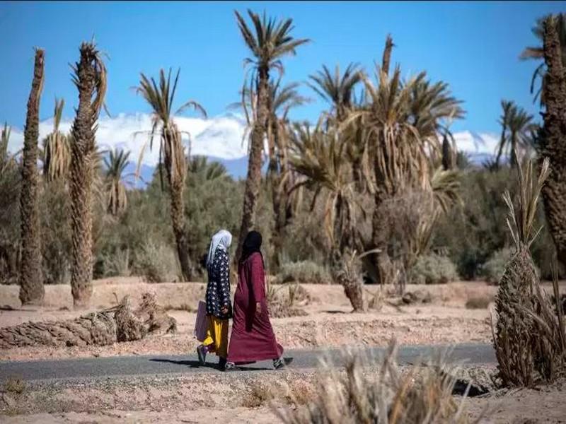 Dans le sud du Maroc, des oasis ancestrales menacées d’extinction