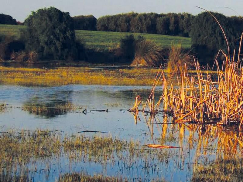 Journée mondiale : La biodiversité, au cœur des enjeux planétaires