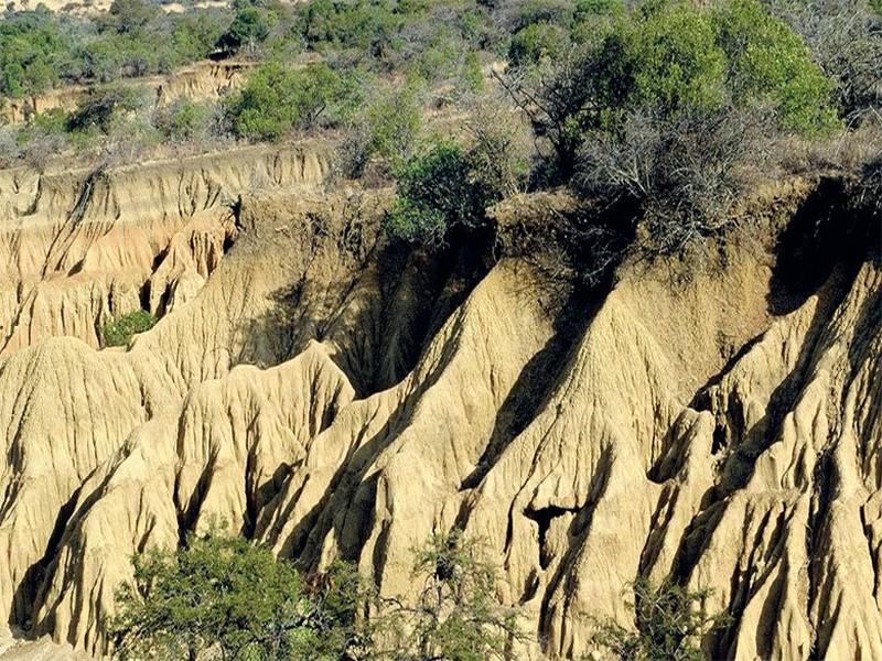 Près de 90% des sols à travers le monde menacés d’érosion d’ici 2050