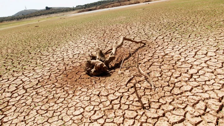 Environnement : lancement du Conseil de la jeunesse arabe pour le changement climatique