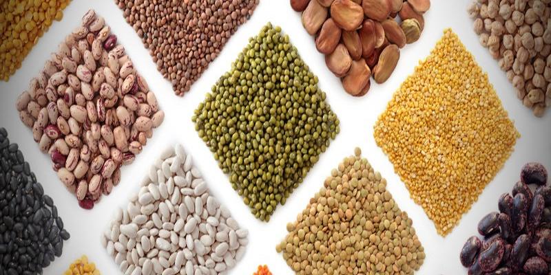 Développement des produits du terroir : Lancement du label collectif «Terroir du Maroc»