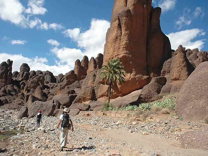 Un trek parfumé aux épices