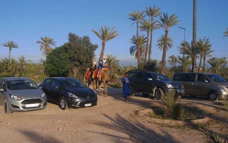 #Tourisme_Maroc_Locations_voitures : Mort programmée du secteur de la location de voitures