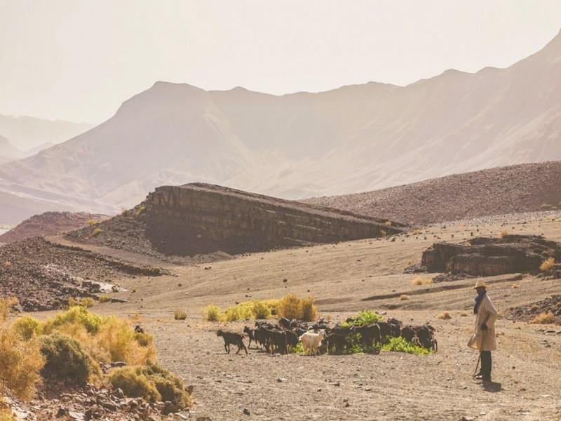 Dans le Maroc rural, la vie dans les zones arides racontée par des spécialistes