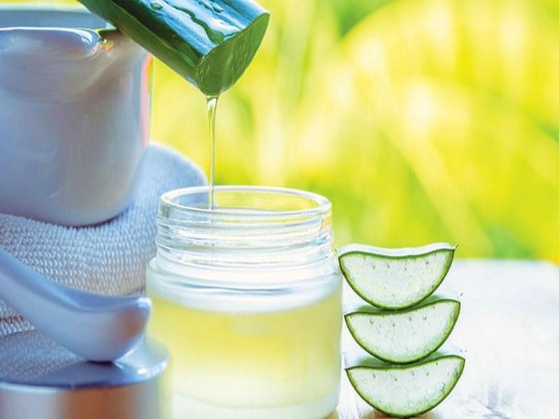 L’Aloe vera est bénéfique, mais attention à choisir des produits reconnus et certifiés !