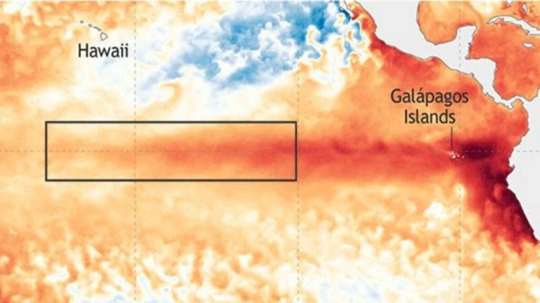 Il y a 98 % de probabilités que les 4 prochaines années soient une fournaise pour l'humanité. Un coupable : El Niño
