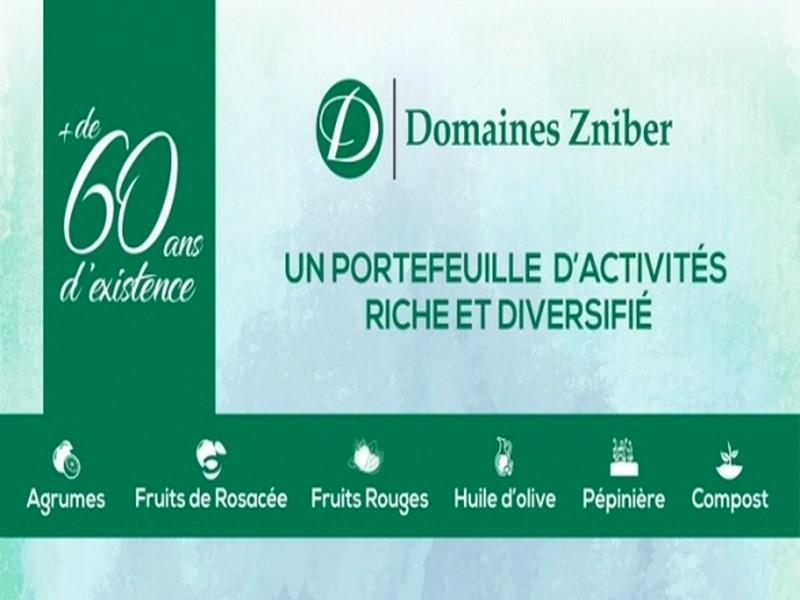 Domaines Zniber: un acteur majeur de l’agriculture au Maroc