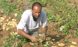 Agriculture-pêche -fôret 