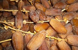 Les dattes marocaines ne sont pas assez valorisées sur le marché international