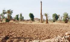Tafilalet 38 millions de DH pour le développement durable des oasis