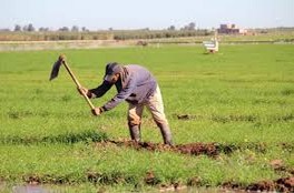 Agriculture-pêche -fôret 