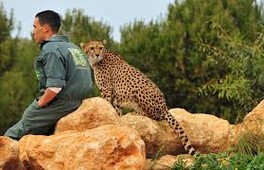 Le jardin zoologique de Rabat obtient le certificat d\'excellence \"Tripadvisor\"