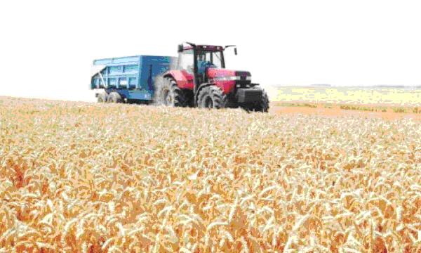 Maroc vert Un plan de relance pour 2015 ?