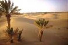 Souss Sahara Atlantique