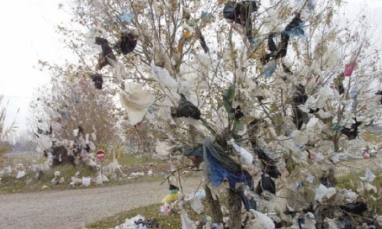 Environnement Une initiative pour diminuer l’utilisation des sacs en plastique