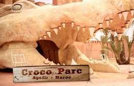 Agadir se dote d\'un parc à crocodiles, une première au Maroc